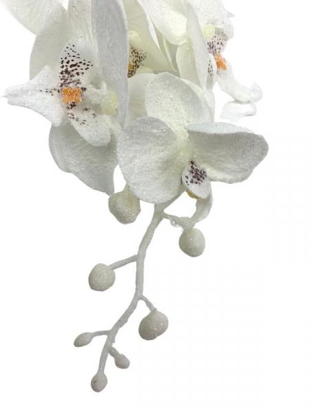 Storczyk ośnieżony kwiat pojedynczy 86 cm biały