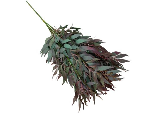 Ruskus gałązka 61 cm pudrowy zielony z fioletem