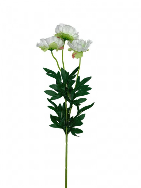 Anemon 3 kwiaty na gałązce 50 cm białe