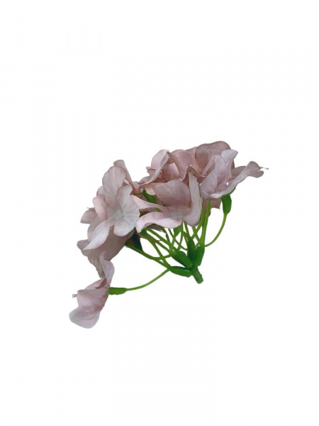 Hortensja główka 13 cm romantyczny róż