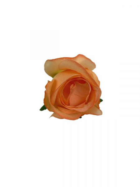Róża główka 7 cm brzoskwiniowa