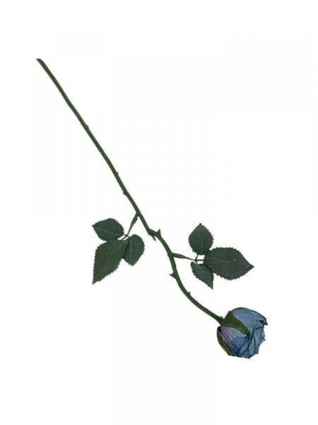 Róża gałązka 35 cm niebieska