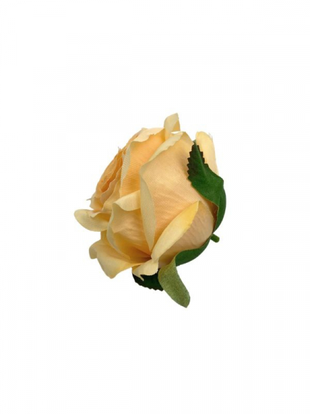 Róża główka 9 cm brzoskwiniowa