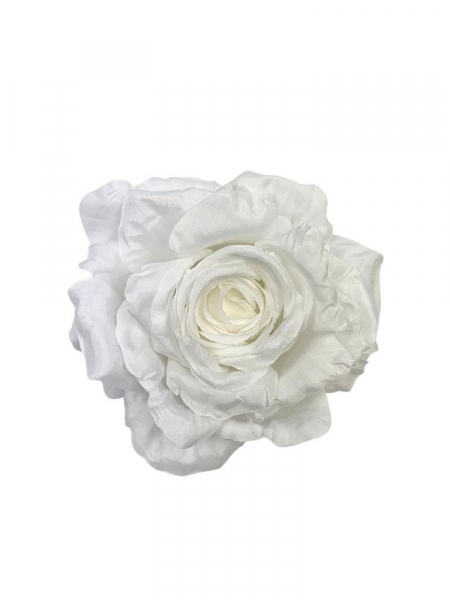 Róża duża główka 15 cm biała