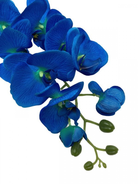 Storczyk kwiat pojedynczy 100 cm niebieski