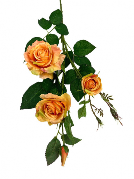 Róża gałązka 77 cm herbaciana