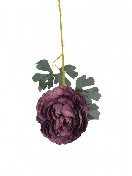 Pełnik kwiat pojedynczy 54 cm purpurowy