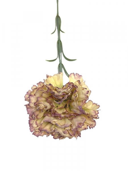 Goździk gałązka 52 cm kremowy z brudnym fioletem