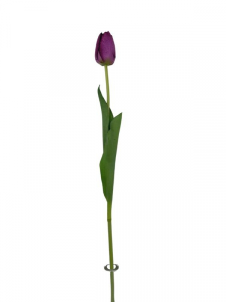 Tulipan kwiat pojedynczy 67 cm fioletowy