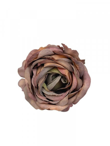 Róża główka 10 cm miodowa