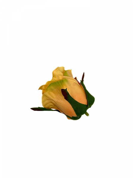 Róża główka 5 cm herbaciana