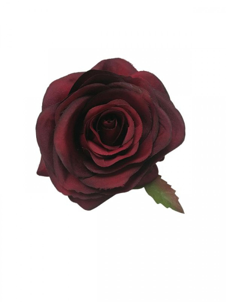 Róża główka 9 cm bordowa