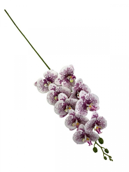 Storczyk kwiat pojedynczy 95 cm z fioletowymi nakropieniami