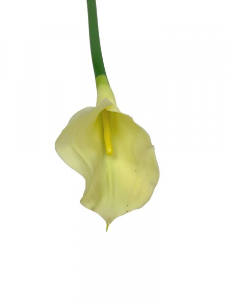 Kalia kwiat pojedynczy 71 cm jasno żółta