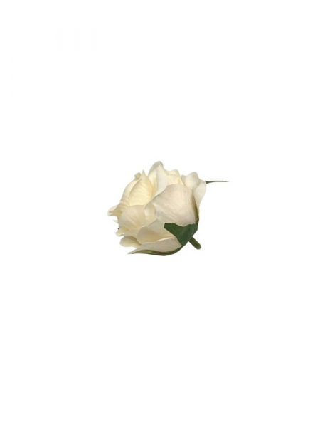 Róża główka 6 cm antyczny krem