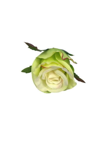 Róża główka 5 cm jasno zielona z różowymi brzegami