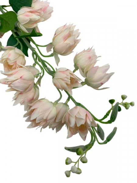 Juka kwiat pojedynczy 86 cm kremowa z jasnym różem