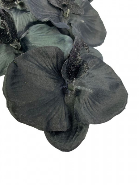 Storczyk kwiat pojedynczy 80 cm czarny