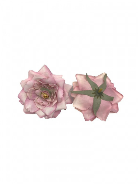 Gardenia główka 10 cm romantyczny róż