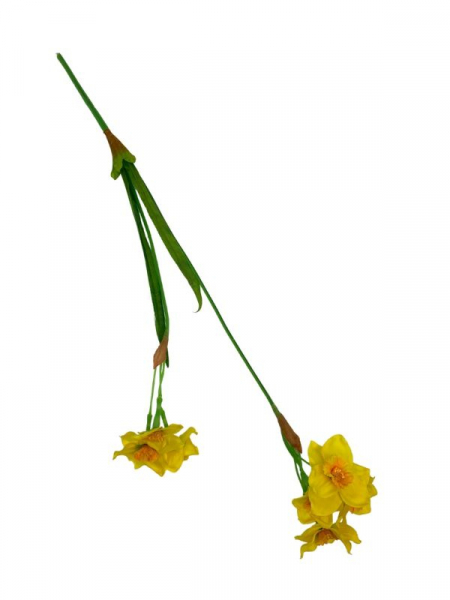 Narcyz kwiat pojedynczy 60 cm żółty