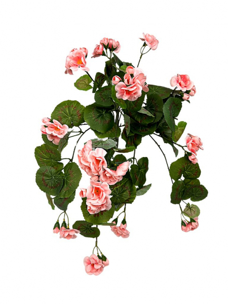 Pelargonia bukiet 52 cm pudrowy róż