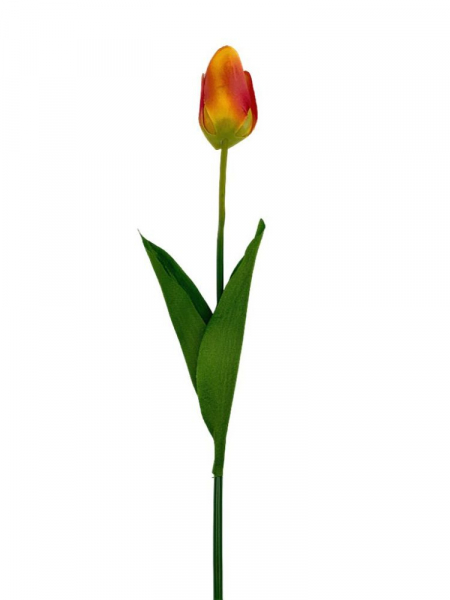 Tulipan 61 cm żółto czerwony