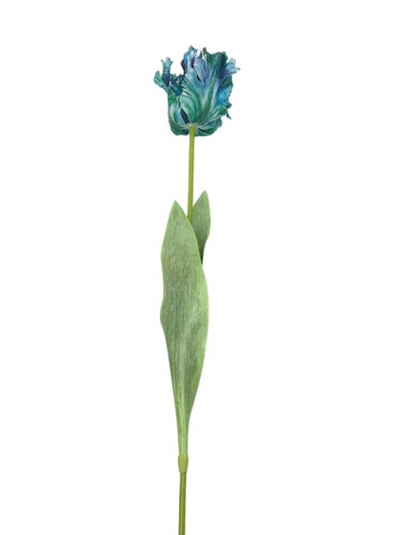Tulipan papuzi kwiat pojedynczy lekko gumowany 70 cm niebieski