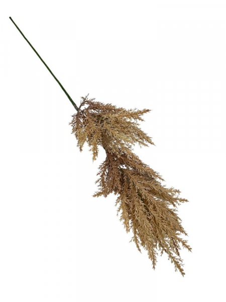 Trawa pampasowa gałązka 70 cm beż