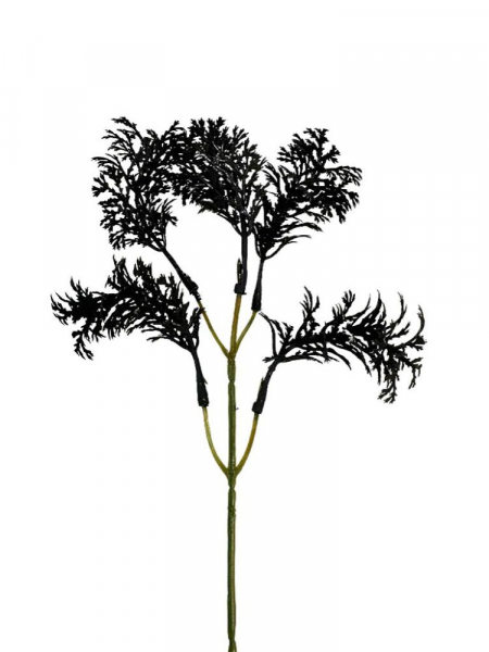 Wodorosty trawa ozdobna gałązka 34 cm czarne