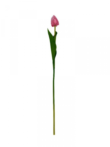 Tulipan matowy gałązka 54 cm różowy
