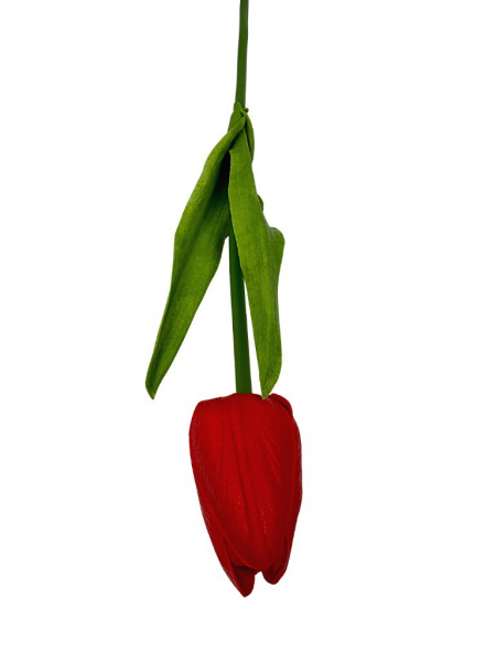 Tulipan z pianki 45 cm czerwony