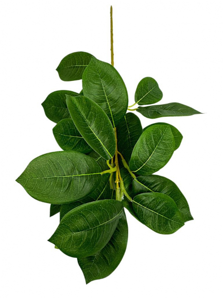 Fikus gałązka z liśćmi 42cm zielona