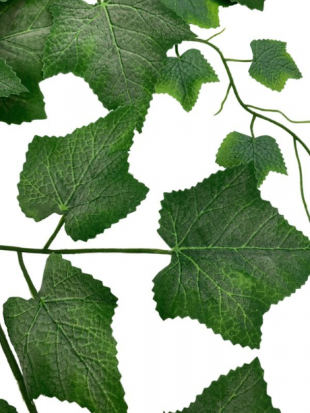 Liść winogrono omszony 70 cm zielony