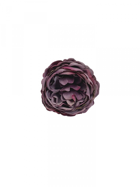 Piwonia mini główka 6 cm fioletowy z głębokim różem