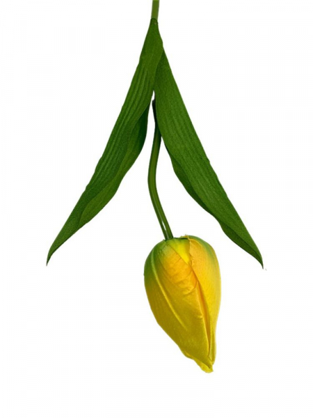Tulipan 50 cm żółty