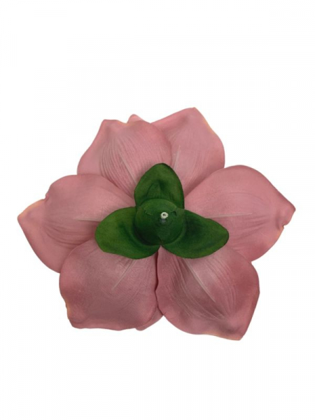 Magnolia główka 22 cm brudny róż