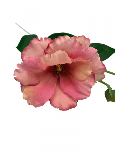 Eustoma gałązka 48 cm brudny róż