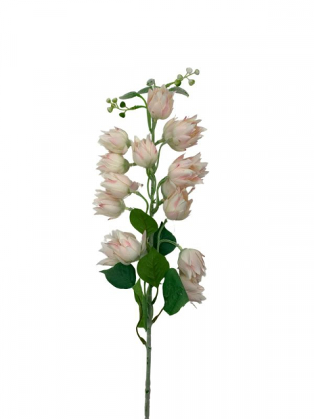 Juka kwiat pojedynczy 86 cm kremowa z jasnym różem
