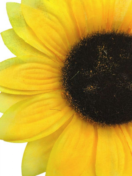 Słonecznik kwiat pojedynczy 70 cm żółty