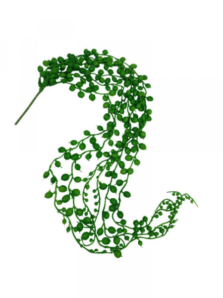 Senecio sukulent 75 cm zielony