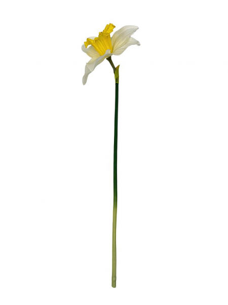 Żonkil narcyz gałązka 41 cm biało żółty