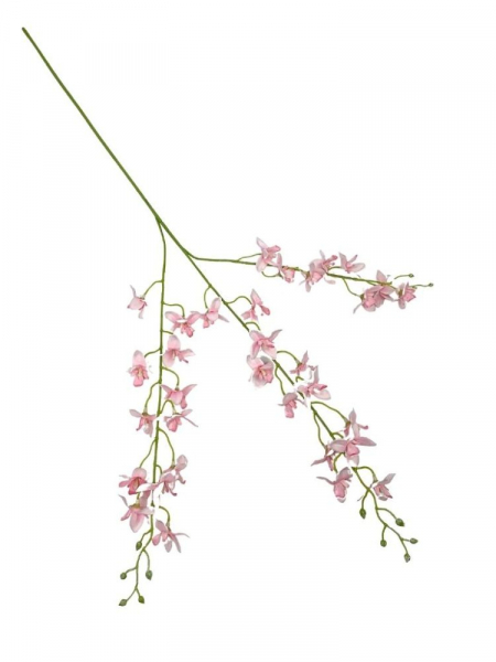 Storczyk oncidium gałązka 88 cm różowy