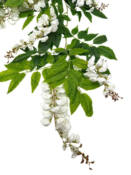 Girlanda kwiatowa biała akacja 200 cm