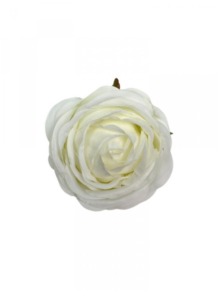 Róża główka 8 cm kremowa
