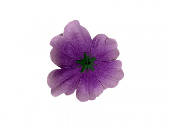 Anemon główka 7 cm jasny fiolet