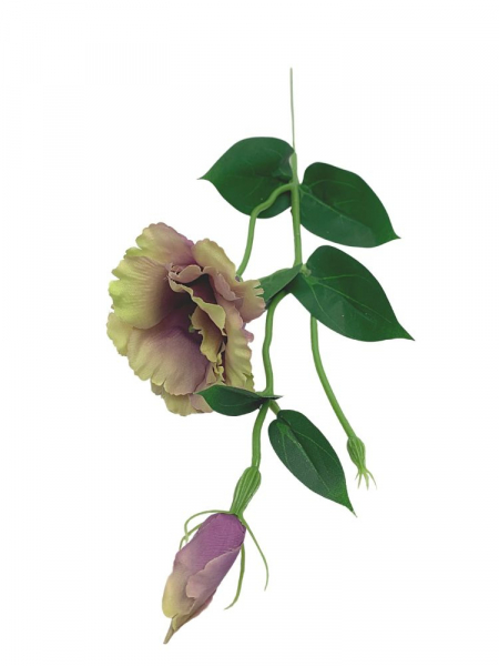 Eustoma gałązka 48 cm brudny fiolet z zielenią