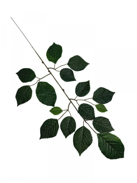 Buk liść gałązka 60 cm zielony