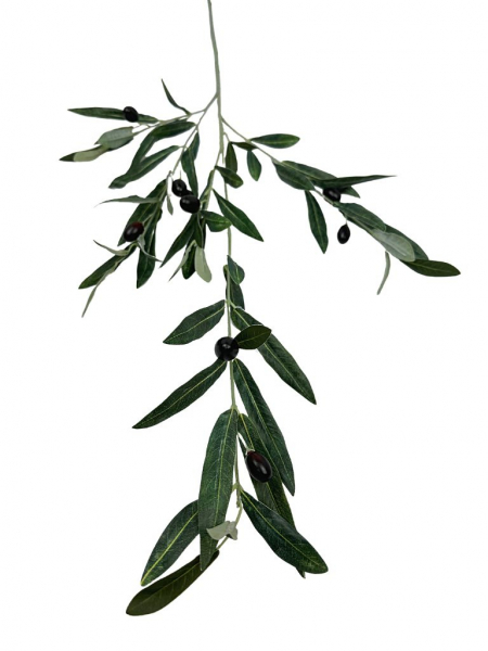Gałązka oliwna 110 cm