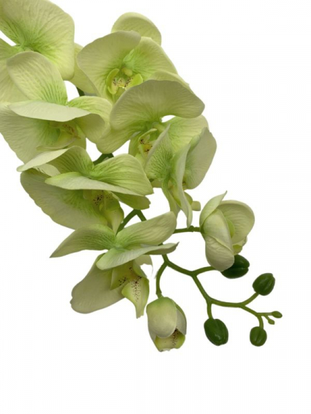 Storczyk kwiat pojedynczy 100 cm jasno zielony