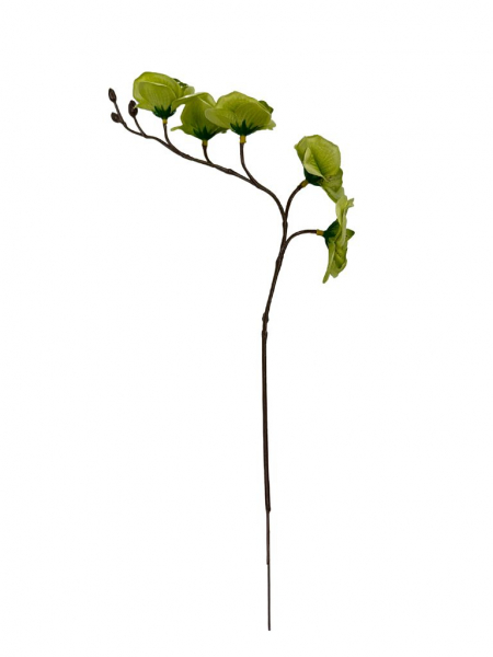 Storczyk mini gałązka 41 cm zielony
